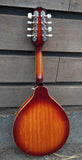 Epiphone Mandolin with Pickup
