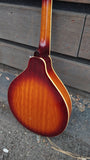 Epiphone Mandolin with Pickup