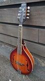 Epiphone Mandolin with Pickup