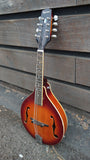 Epiphone Mandolin with Pickup