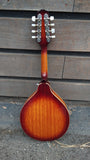 Epiphone Mandolin with Pickup