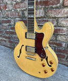 Epiphone Sheraton II