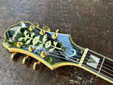 Epiphone Sheraton II