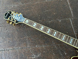 Epiphone Sheraton II Pro