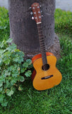 Fender GA45s Acoustic