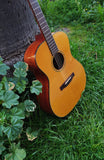 Fender GA45s Acoustic