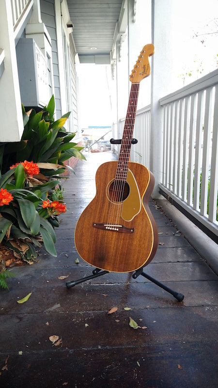 Fender Newporter 60s – Moze Guitars