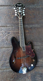 Fender Robert Schmidt Electric Mandolin