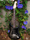 Fender Special Edition 2012