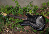 Fender Special Edition 2012