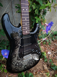 Fender Special Edition 2012