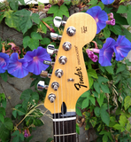 Fender Special Edition 2012