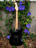 Fender Special Edition 2012