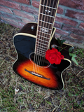 Fender T-Bucket 300CE