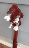 Flint Hill 5 String Banjo
