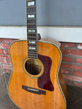 Framus Acoustic