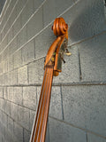 Framus Upright Bass (local pick-up only)