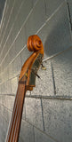Framus Upright Bass (local pick-up only)