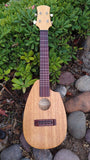 Fred Shields Mahogany Alder Concert Uke