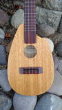 Fred Shields Mahogany Alder Concert Uke