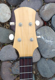 Fred Shields Mahogany Alder Concert Uke