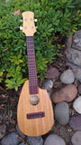 Fred Shields Mahogany Alder Concert Uke