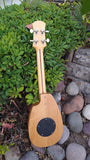 Fred Shields Mahogany Alder Concert Uke