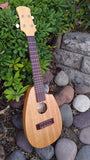 Fred Shields Mahogany Alder Concert Uke