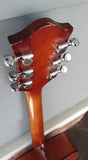 Gretsch Acoustic G3520