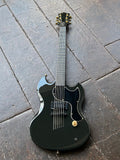 Guild Polara