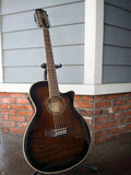 Ibanez 12 String
