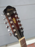 Ibanez 12 String