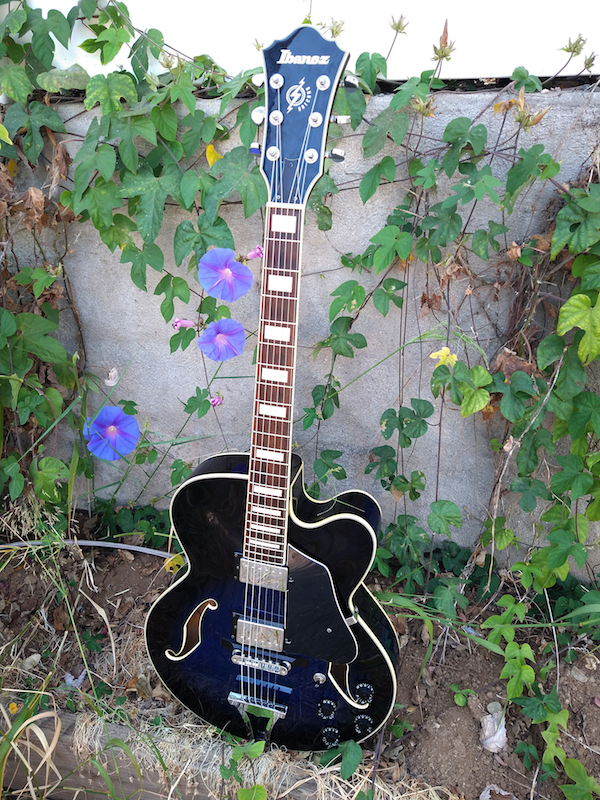 Ibanez Artcore AF75 Blue – Moze Guitars