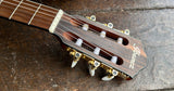 Ibanez FRH10N Thinline Nylon Acoustic-electric