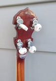 Iida Tenor Banjo