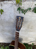 Iris Acoustic DF