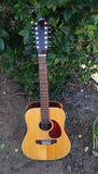 Johnson 12 String Acoustic