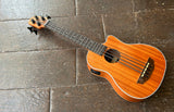 Kala U-BASS Scout FS Acoustic-Electric