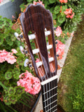 Kremona Classical Soloist F65c