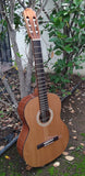 Kremona Soloist 65 C