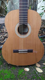 Kremona Soloist 65 C