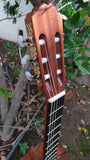 Kremona Soloist 65 C