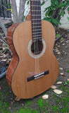 Kremona Soloist 65 C
