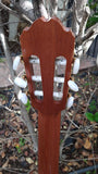 Kremona Soloist 65 C