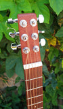 Martin Backpacker