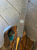 Michael Kelly MK12XZISFX Forte Port 12 String