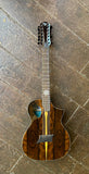 Michael Kelly MK12XZISFX Forte Port 12 String
