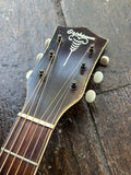 Orpheum Acoustic with Gold Foil Pick-up