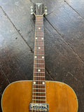 Orpheum Acoustic with Gold Foil Pick-up