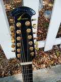 Ovation Elite MOD 1858 USA 12 String